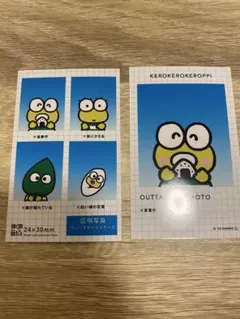 サンリオキャラクターズ 証明写真風スマロイド　けろけろけろっぴ