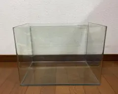 2026年最新】曲げガラス水槽の人気アイテム - メルカリ