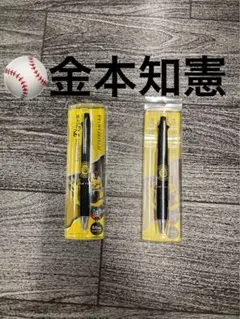 Item thumbnail for item 84e903e7-0571-402b-b4ac-432834729959