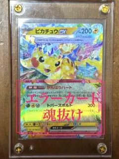 2026年最新】エラーカード ポケモンの人気アイテム - メルカリ