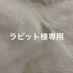 ラビット様専