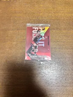 バレーボール トレーディングカードセット