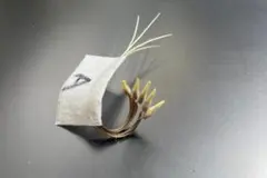 chibi様 リクエスト 2点 まとめ商品