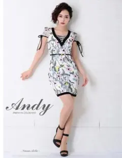 Andy ミニドレス　Sサイズ　3️⃣