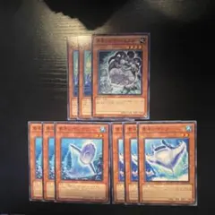 素早いビッグハムスター　素早いマンタ　素早いマンボウ