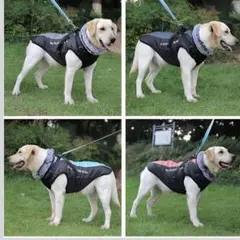 ✨犬 服 大型犬 2XL ハーネス一体型コート ジャケット 防寒 ドッグウェアのサムネイル