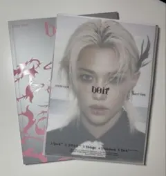 straykids DOIT ITver 通常版 アルバム フィリックス 開封済