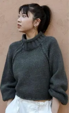 Ungrid ローゲージハイネックショートニット