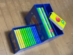 大幅値下！ ディズニー SingAlong DVD 絵本 ガイド 箱 おまけ付