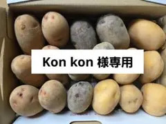 Konkon 様専用！長崎県産じゃがいも3種セット1.3㎏のサムネイル