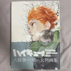 ハイキュー　complete illustration 大判画集 イラスト 本