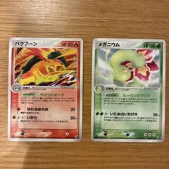 バクフーン オーダイル メガニウム御三家 プレミアムファイル ポケモン