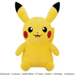 ポケモン30周年記念おかえり!ピカチュウ1/1 - メルカリ
