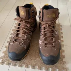 THE NORTH FACE ノースフェイス ゴアテックストレッキングシューズ