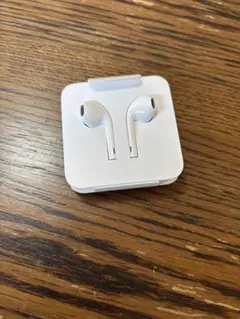 Apple EarPods with Lightning Connector