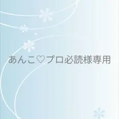 あんこ♡プロ必読様 リクエスト 2点 まとめ商品