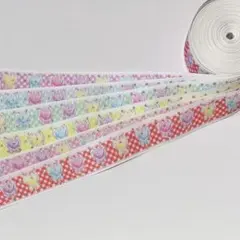 グログランリボン　まとめ売り⑤ (25mm.6種) 計12m