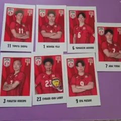 【最終値下げ】バレーボール日本代表男子 キャラポトレ 7枚セット