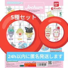 たんぽぽ様 リクエスト 2点 まとめ商品