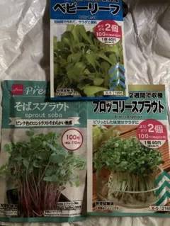 スプラウト3種のサムネイル