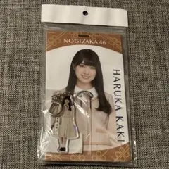 2026年最新】賀喜遥香 アクリルキーホルダーの人気アイテム - メルカリ