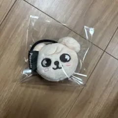 StrayKids スンミン パピーム ヘアクリップ ヘアピン SKZOO - メルカリ