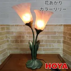 2026年最新】HOYA 花あかりの人気アイテム - メルカリ