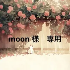moon様　専用