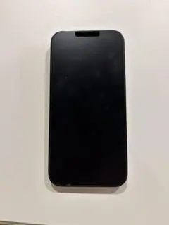 Apple iPhone 13 Pro グラファイト