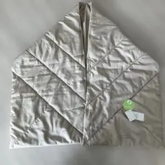 Item thumbnail for item 4b2358df-a9c9-46b4-ad8e-53ce9a1c044b