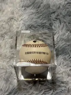 第92回全国高校野球選手権大会　甲子園　試合球 第92回全国高校野球選手権大会 甲子園 試合球 - メルカリ