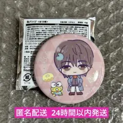 SEVENTEEN サンリオ コラボ 缶バッジ ディエイト