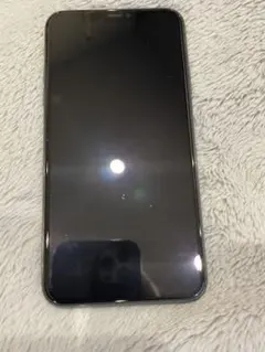 Apple iPhone 11 Pro Max本体