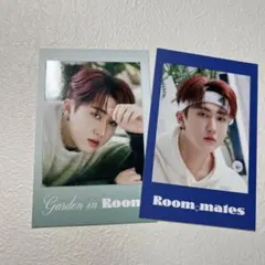 Stray kids チャンビン　シーグリ　ポラロイド　2022