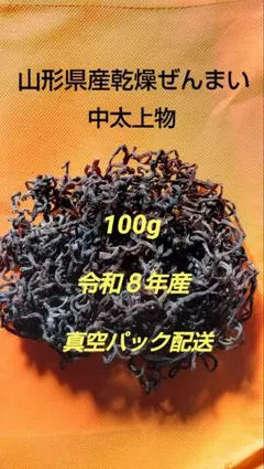 新物 徳島産l肉厚乾燥ぜんまい 超極太 極上物 100g 山菜ゼンマイ 野菜