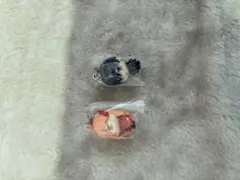チェンソーマン めじるし パワー　あき