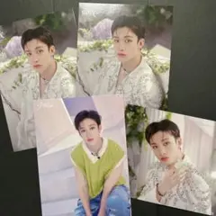 バンチャン ラントレ まとめ売り