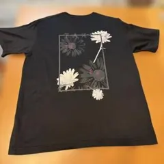 【極美品】タケオキクチ2号Mサイズのサムネイル