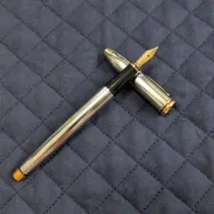 シルバー ブラック ツートンカラー platinum 万年筆18k WG 細字 - メルカリ
