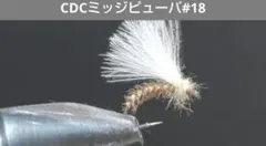 Item thumbnail for item 66d4ceff-759d-477c-8c66-dd13d75b729f