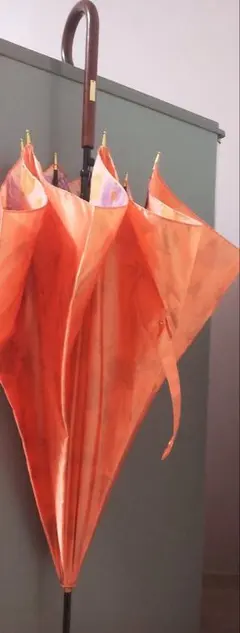 Item thumbnail for item 855d39a9-a7f2-4f68-be54-910133b47e10