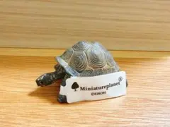 Miniatureplanet リクガメ フィギュアのサムネイル