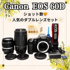 ❤️Canon EOS 60D ❤️ハイアマチュア ✨️ショット数僅か352回