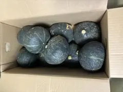 2025年最新】7箱の人気アイテム - メルカリ