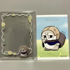 ゴールデンカムイ どうぶつフォーゼ ミニブロマイド&硬質カードケース 二階堂