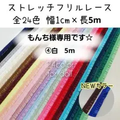 もんち様専用　ネコポス　5m　ストレッチフリルレース　幅1cm