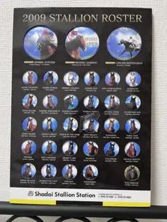 京都競馬場100周年 三冠馬バッジセット　三冠馬ッジ 京都競馬場100周年 三冠馬バッジセット 三冠馬ッジ - メルカリ