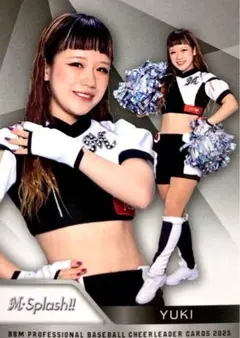 Item thumbnail for item 78178545-1dba-43d3-bda6-542cf7c00a9c