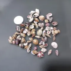 Item thumbnail for item 7298b561-1dcc-4956-9f87-23b4496d1d83