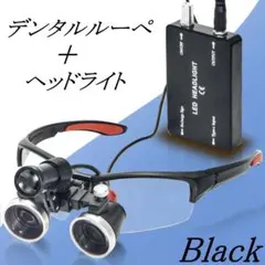 デンタル ルーペ 2.5倍 パープル ライト付 歯科 拡大鏡 角度調整 DIY